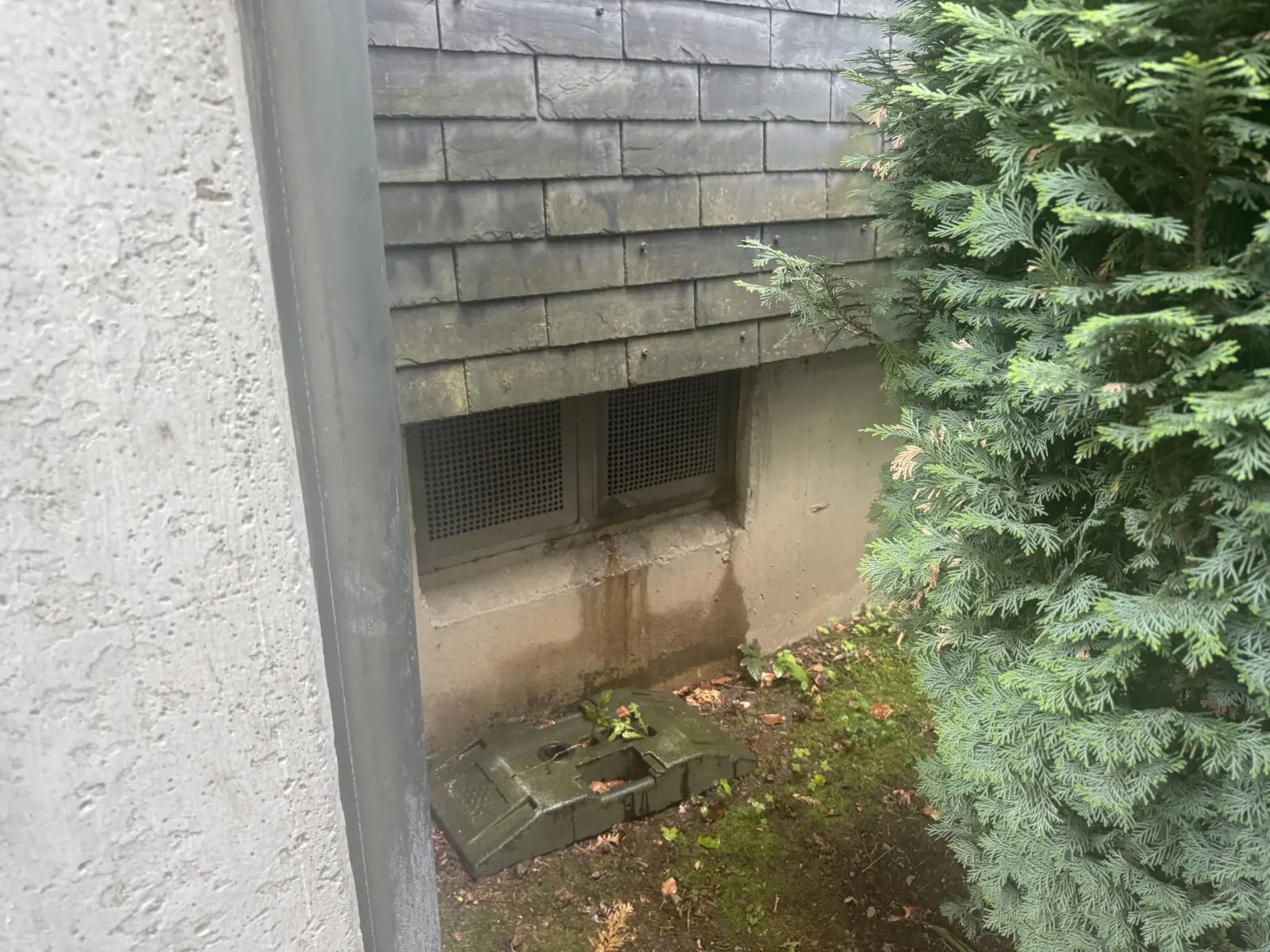 Wasserschaden Sanierung – Schadensbild vor der Beseitigung